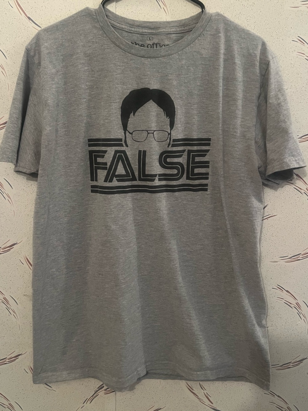 The Office Dwight Schrute FALSE Graphic T-Shirt Gray Men’s Large Ripple Junction